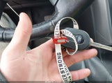 Miniaturka zdjęcia 11