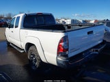 Toyota Tacoma Base V6 5TFUU4EN7CX023899 снимка
