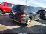 Mercedes-Benz Ml 350 4JGBB5GB1AA581247 снимка