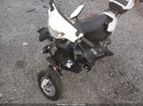 Miniaturka zdjęcia 2