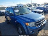 Ford Escape Xlt 1FMCU9DG3AKD28012 fotografie