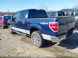 Ford F-150 Fx4/King Ranch/Lariat/Platinum/Xl/Xlt 1FTPW14VX9FB31892 fotografie