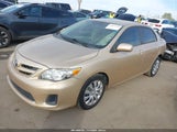 Toyota Corolla Le 2T1BU4EE2CC802357 fotografie