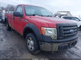 Ford F-150 Stx/Xl/Xlt 1FTRF12W69KB58728 fotografie