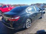 Miniaturka zdjęcia 4