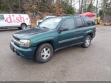 Chevrolet Trailblazer Ls 1GNDT13S852195246 снимка