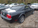 Ford Mustang V6 Deluxe/V6 Premium 1ZVFT80N255206424 photo