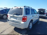 Ford Escape Xlt 1FMCU0D77CKB75343 fotografie