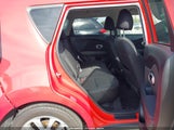 Miniaturka zdjęcia 8