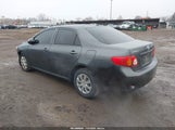 Toyota Corolla Le 2T1BU4EE8AC285675 fotografie