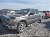 Ford F-150 Xlt 1FTFW1EF4CKE33227 снимка
