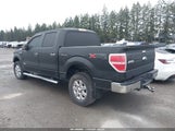 Ford F-150 Xlt 1FTFW1ET9DFD20681 снимка