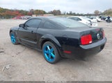 Ford Mustang V6 Deluxe/V6 Premium 1ZVHT80N185154328 fotografie