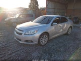 Miniaturka zdjęcia 2