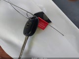 Miniaturka zdjęcia 11