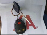 Miniaturka zdjęcia 11