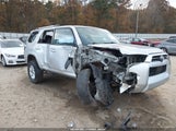 Miniaturka zdjęcia 6
