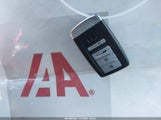 Miniaturka zdjęcia 11