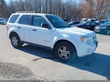 Ford Escape Hybrid 1FMCU5K34BKA69461 снимка