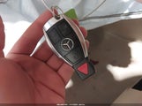 Miniaturka zdjęcia 11