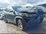 Jeep Cherokee Trailhawk 4X4 1C4PJMBX4LD529073 снимка