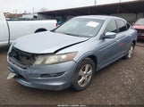 Honda Accord Crosstour Ex 5J6TF1H33AL000052 fotografie