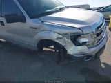 Ford F-150 Xlt 1FTFW1EF5DFA32196 снимка