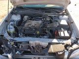 Chevrolet Malibu 1G1ND52J53M559546 снимка