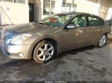 Nissan Maxima 3.5 Se 1N4BA41E15C855292 снимка