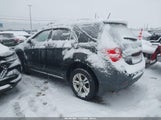 Chevrolet Equinox 1Lt 2GNFLEEK6D6241476 снимка