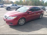 Miniaturka zdjęcia 2