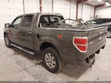 Ford F-150 Xlt 1FTFW1EFXEFC22481 снимка