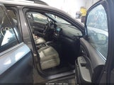 Miniaturka zdjęcia 5