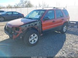 Ford Escape Xlt/Xlt Sport 1FMYU93186KC25078 fotografie