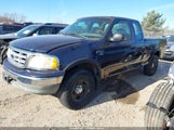 Ford F-150 Lariat/Xl/Xlt 2FTRX18W13CA33541 fotografie