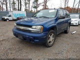 Chevrolet Trailblazer Ls 1GNDT13S762306810 снимка