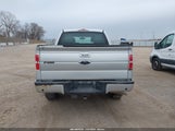 Ford F-150 Fx4/Harley-Davidson/King Ranch/Lariat/Platinum/Xl/Xlt 1FTFW1EVXAKC20397 fotografie