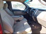 Ford F-150 Fx4/King Ranch/Lariat/Platinum/Xl/Xlt 1FTPW14V39FA72961 fotografie