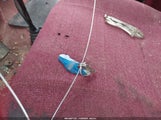 Miniaturka zdjęcia 11