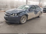Chevrolet Malibu 1Lt 1G11C5SA8DF159536 снимка