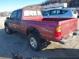 Toyota Tacoma Prerunner 4TASM92N4WZ160280 photo