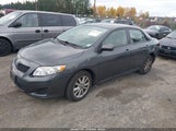 Toyota Corolla Xle 2T1BU40E69C171399 снимка
