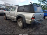 Toyota Tacoma Base V6 5TELU42N59Z611365 fotografie