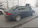 Acura Tsx JH4CL96964C032355 снимка
