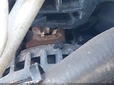 Ford Escape Se 1FMCU9GD9KUA69601 снимка