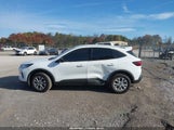 Ford Escape Active 1FMCU9GN7SUA18848 снимка