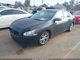 Nissan Maxima 3.5 Sv 1N4AA5AP1CC813043 снимка