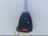 Miniaturka zdjęcia 11