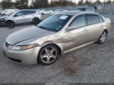 Acura Tl 19UUA66206A049164 снимка