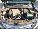 Hyundai Sonata Limited 2.0T 5NPEC4AB7DH611768 снимка